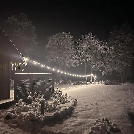 Puhkemaja-1 *