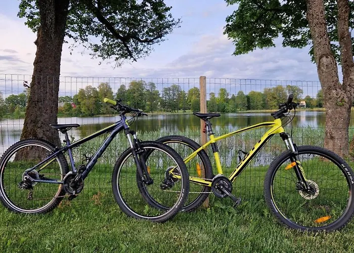 Casa de Férias Puhkemaja-1 Auksi